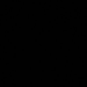 ISO VICTORIA SECRET backpack no more than 60